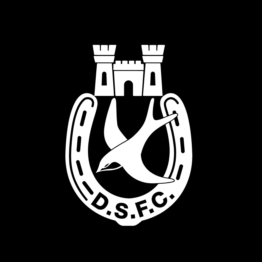 DSFC FInal